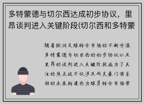 多特蒙德与切尔西达成初步协议，里昂谈判进入关键阶段(切尔西和多特蒙德交锋)